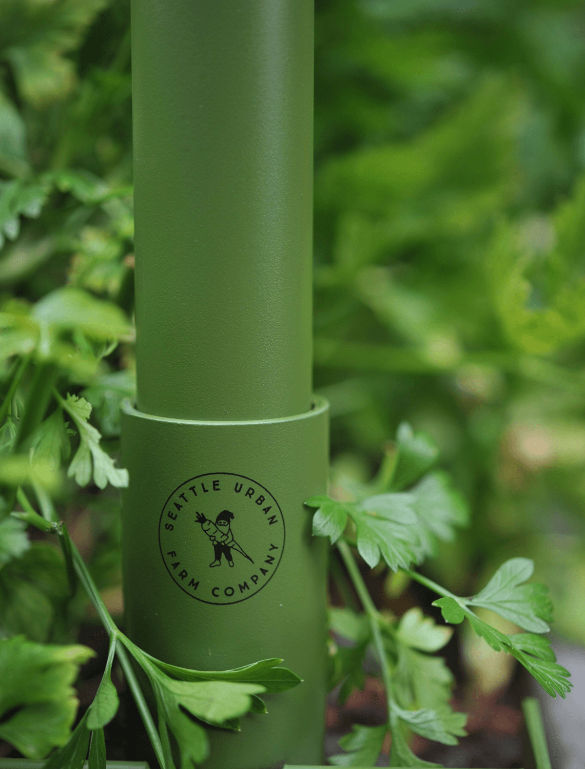 Freyr Trellis