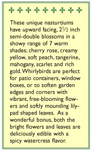 Whirlybird Rainbow Nasturtium Flower Seed Mix