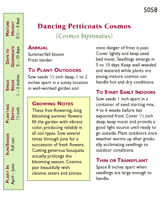 Dancing Petticoats Specialty Cosmos Flower Seeds