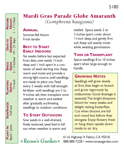 Mardi Gras Parade Globe Amaranth Flower Seeds