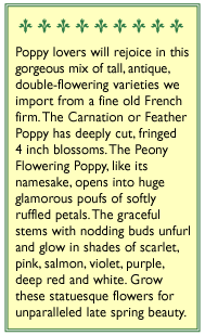 French Flounce Carnation Poppy Flower Seeds