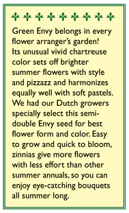 Green Envy Zinnia Flower Seeds