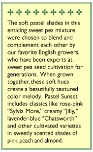 Pastel Sunset Sweet Pea Flower Seeds