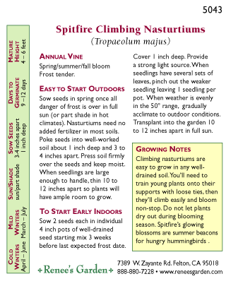 Spitfire Climbing Nasturtium Flower Seeds