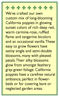 Tropical Sunset California Poppy Flower Seeds