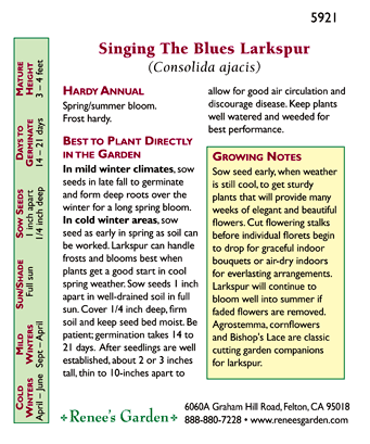 Singing the Blues Bouquet Larkspur Flower Seeds