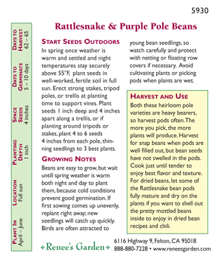 Rattlesnake Ice & Purple Pod Pole Bean Seed Mix
