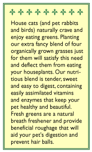 Cat Treats Gourmet Greens Seed Mix
