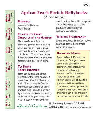 Apricot-Peach Parfait Pom Pom Hollyhock Flower Seeds