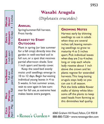Wasabi Arugula Seeds