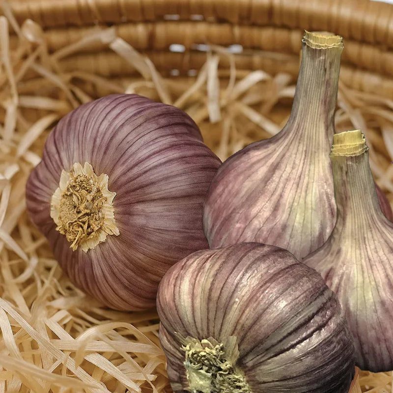 Organic Duganski Garlic (lb)