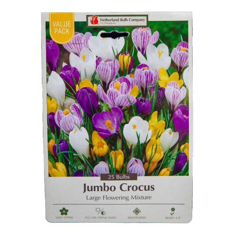 Large Flowering Crocus Bulb Mix (Pack of 30)