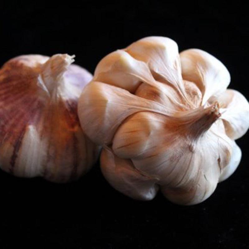 Organic Sicilian Garlic (lb)