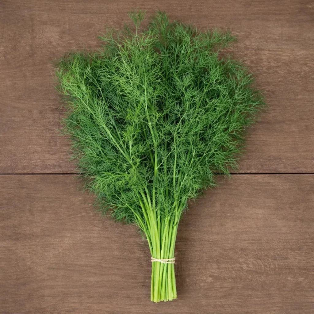 Ceres Dill Seeds (Organic)