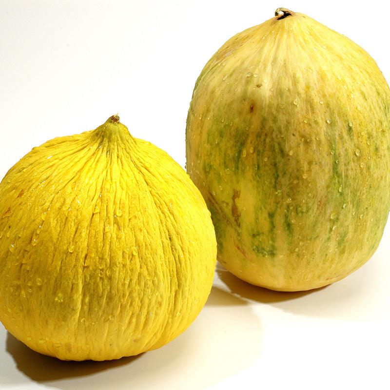 Organic Crenshaw Melon