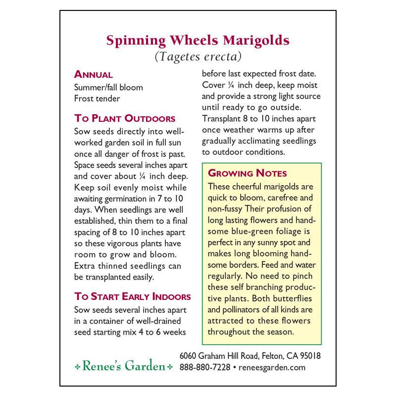 Spinning Wheels Marigold Flower Seeds