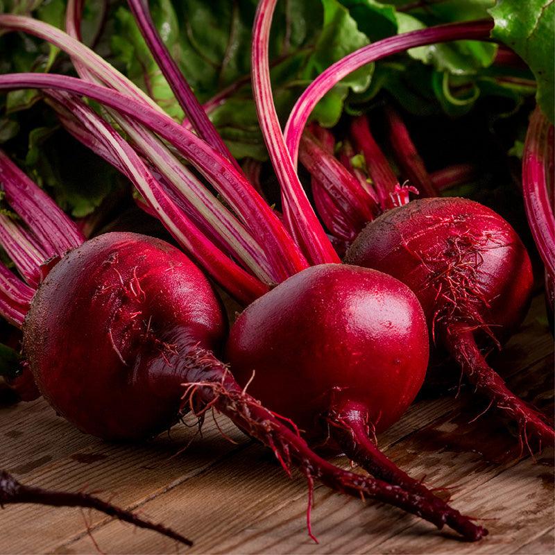 Organic Boro Beet Seeds