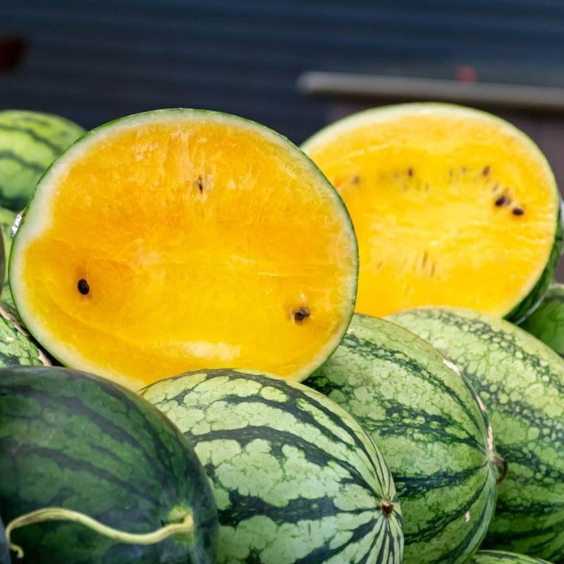 Organic Baby Doll Watermelon Seeds