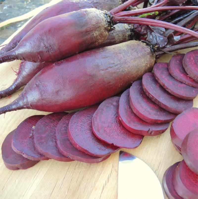 Cylindra Beet Seeds (Organic)