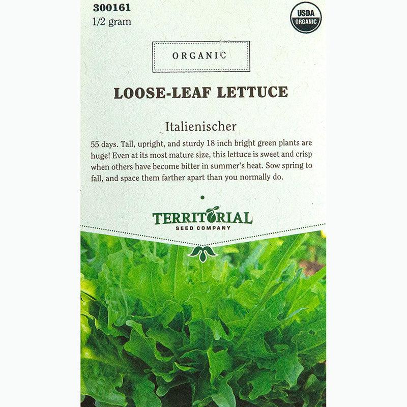 Italianischer Lettuce Seeds (Organic)