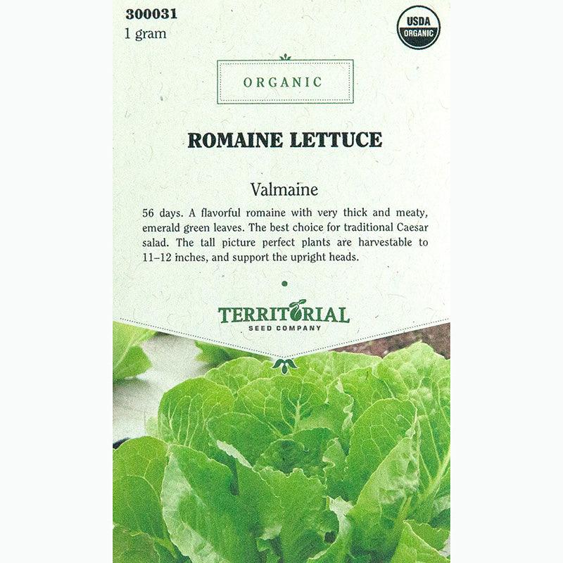 Valmaine Lettuce Seeds (Organic)