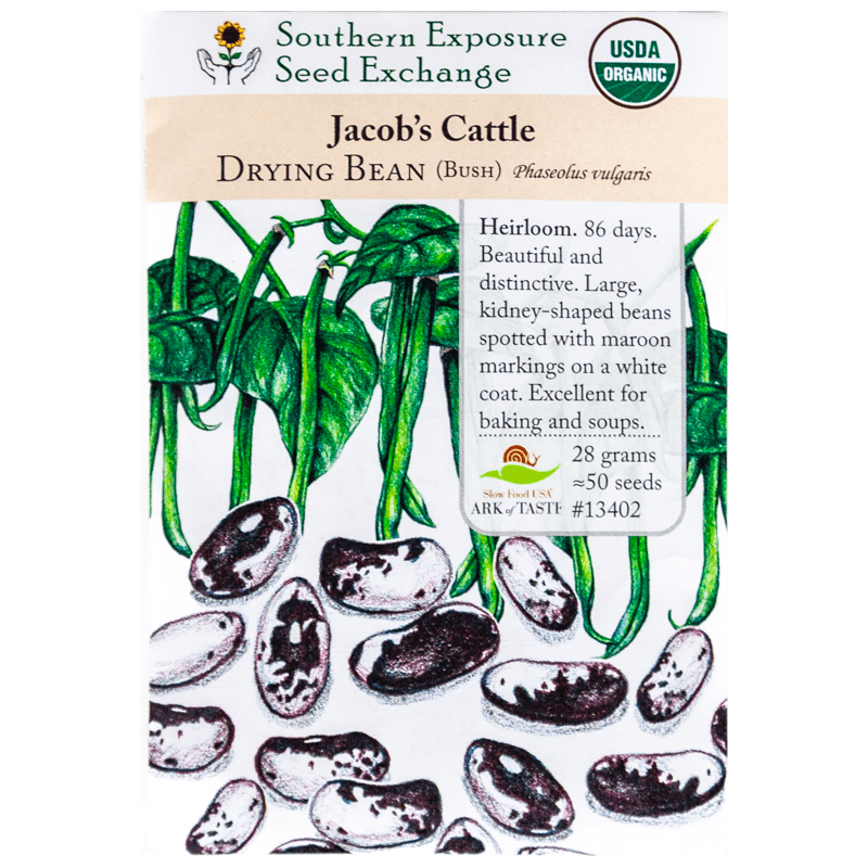 Jacob's Cattle Bush Dry Bean (Organic)