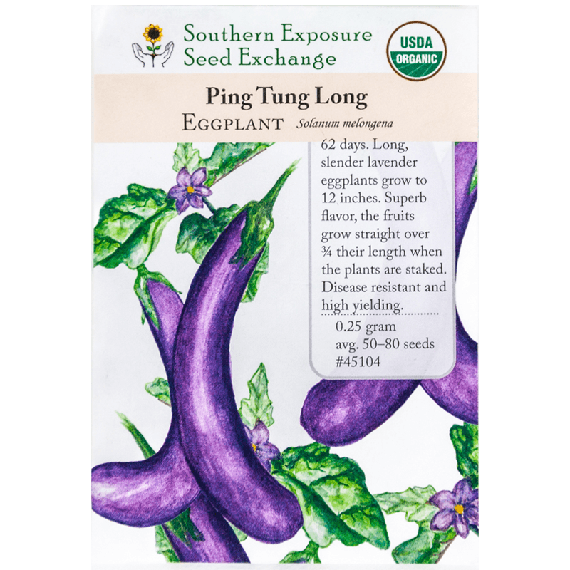 Organic Ping Tung Long Eggplant