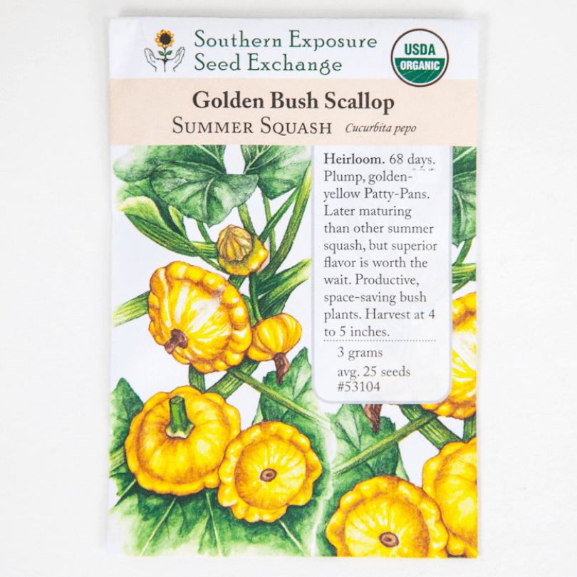 Golden Bush Scallop Summer Squash (Organic)