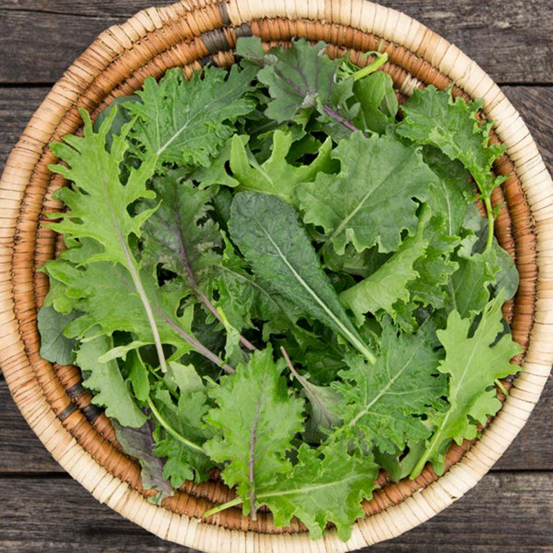 Ironman Kale Mix Seeds (Organic)