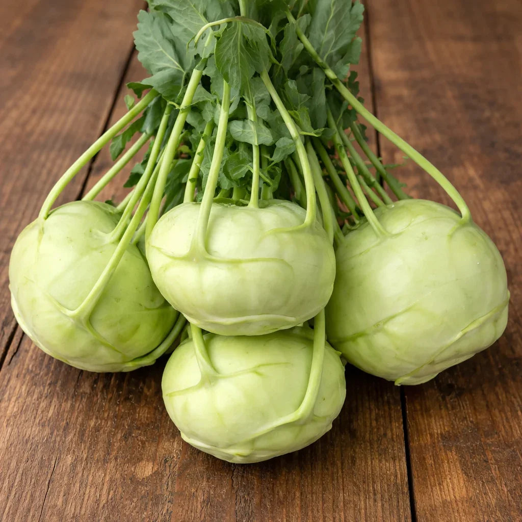 Trero Kohlrabi Seeds (Organic)