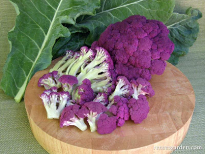 Purple Crush Cauliflower Seeds