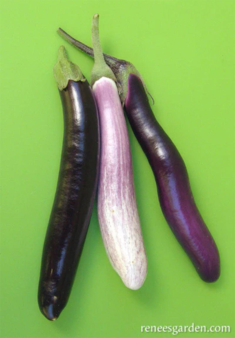 Asian Trio Specialty Eggplants Seed Mix