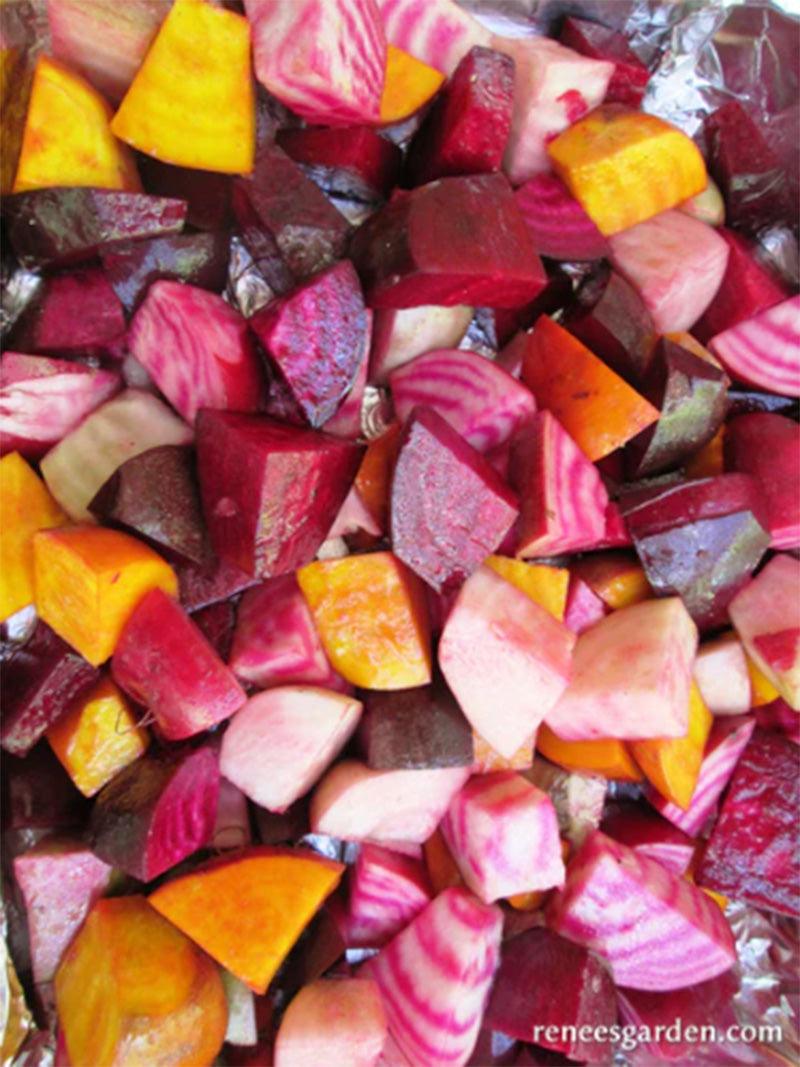 Five Color Rainbow Gourmet Beet Seed Mix