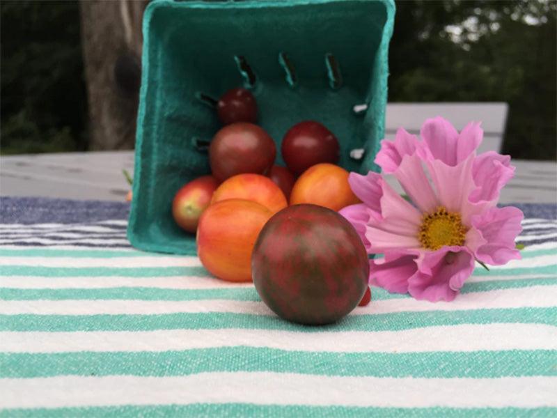 Bumble Bee Cherry Tomato Mix Art Pack (Organic)