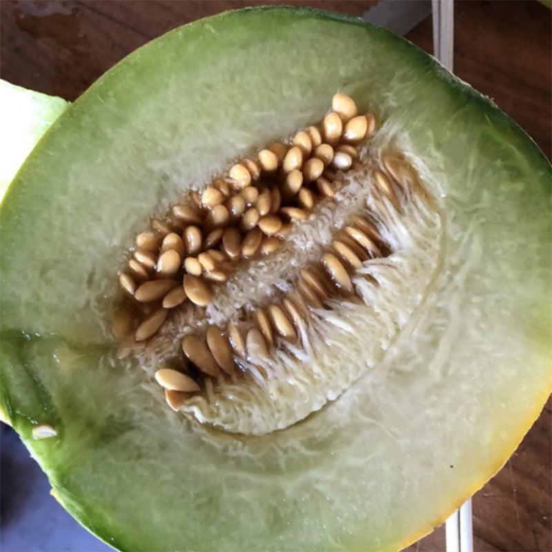 Ha'Ogen Melon Seeds