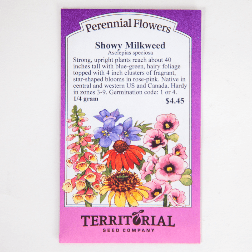 Showy Milkweed