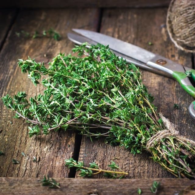 Summer Savory