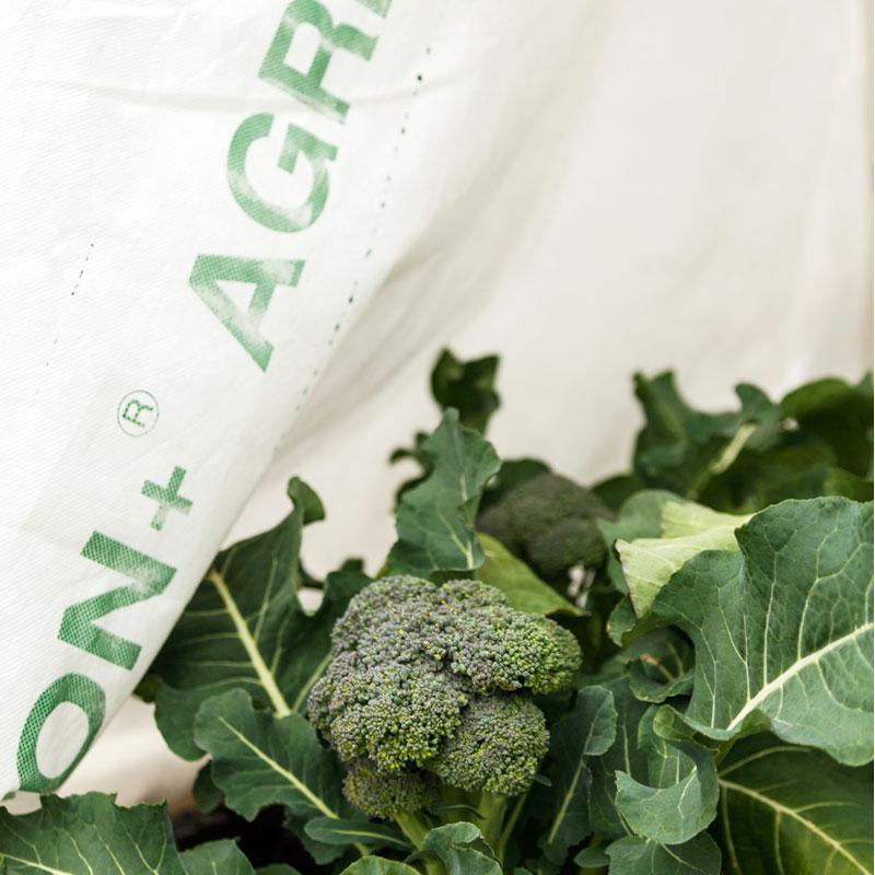 Agribon AG-70 Floating Row Cover (13' X 300')