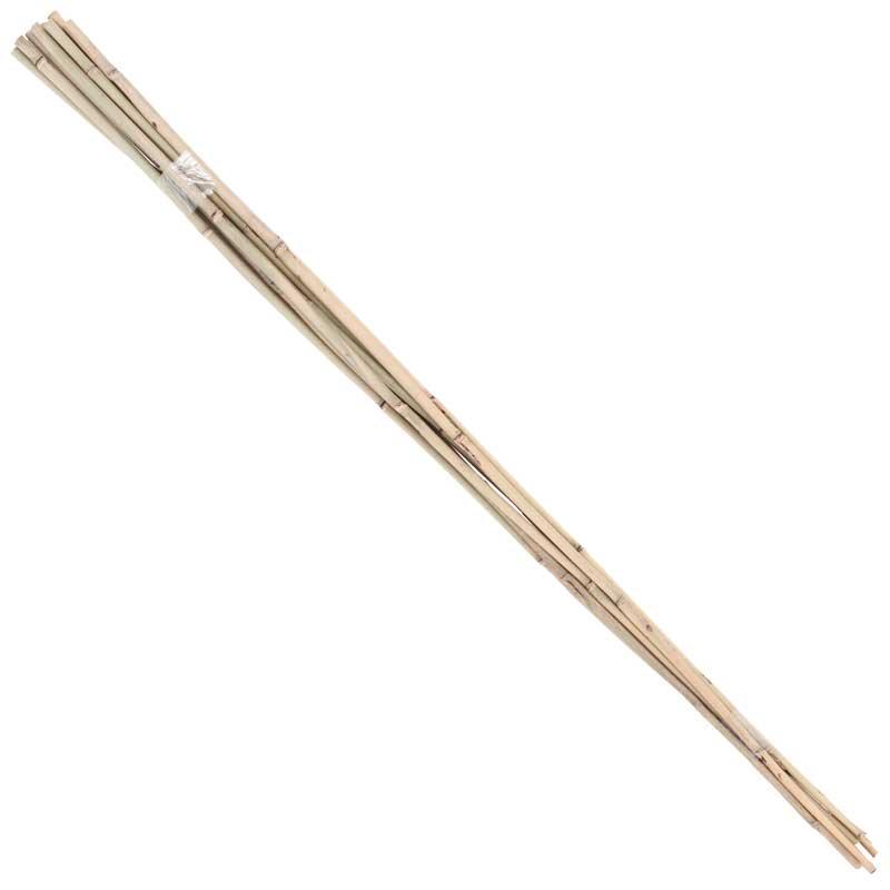 Bamboo Stakes - 4' (Pack of 10)
