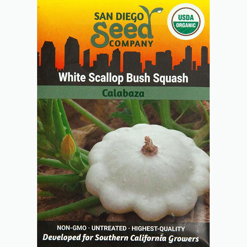 White Scallop Bush Summer Squash Seeds (Organic)