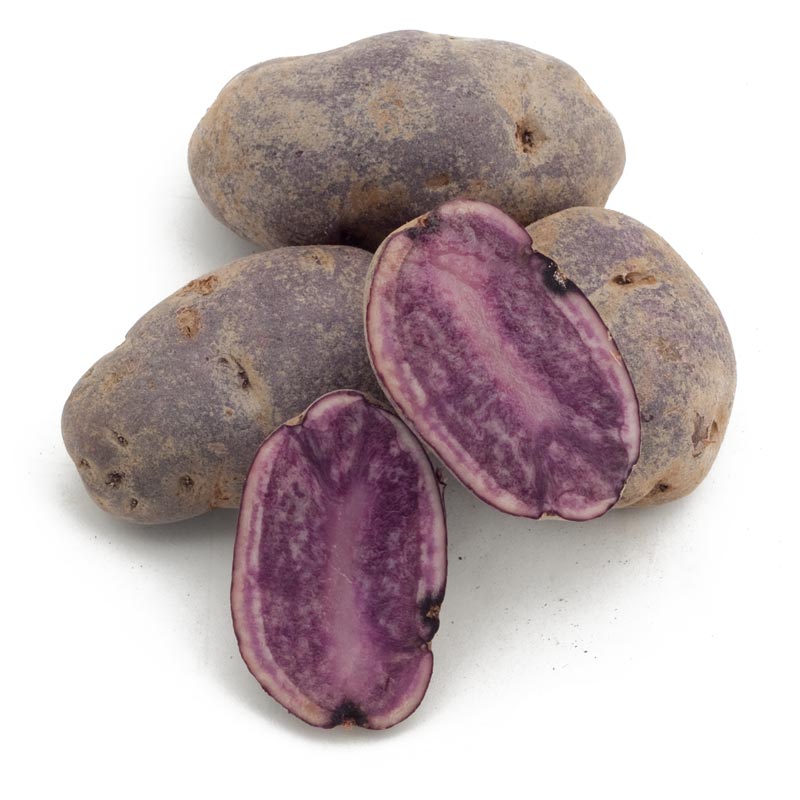 Organic All Blue Seed Potato (lb)