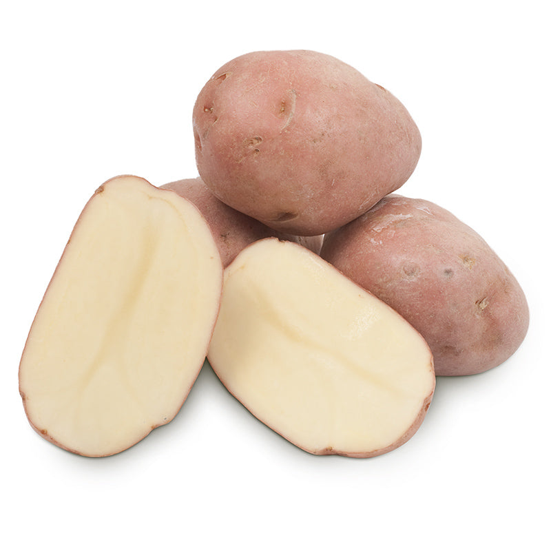 Organic Desiree Seed Potato (lb)