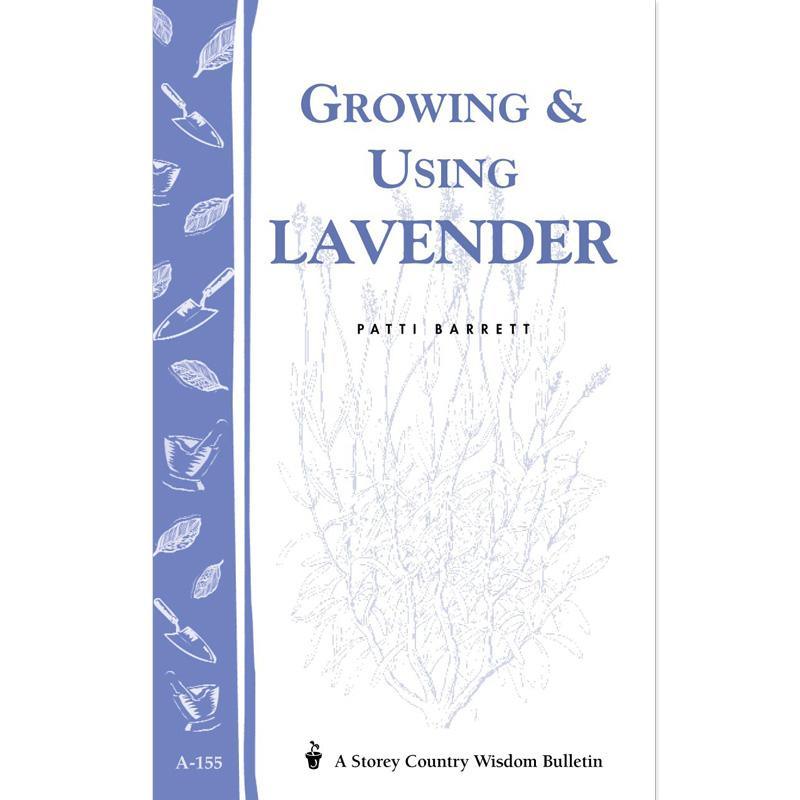 Growing & Using Lavender