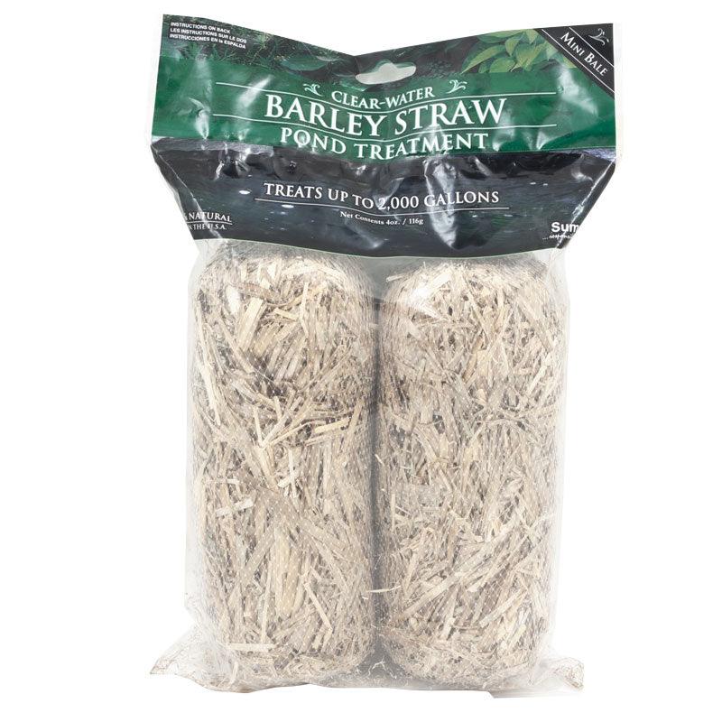 Pond Barley Mini Bales (2/pk)