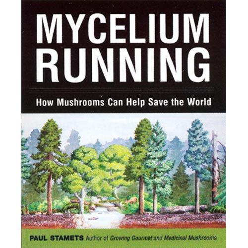 Mycelium Running: How Mushrooms Can Help Save the World