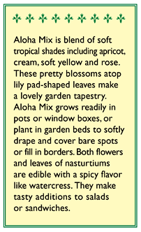 Aloha Hummingbird Nasturtium Flower Seed Mix