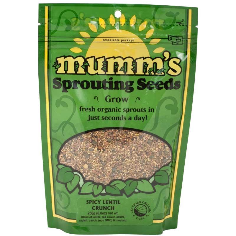 Organic Spicy Lentil Sprouting Seed Mix