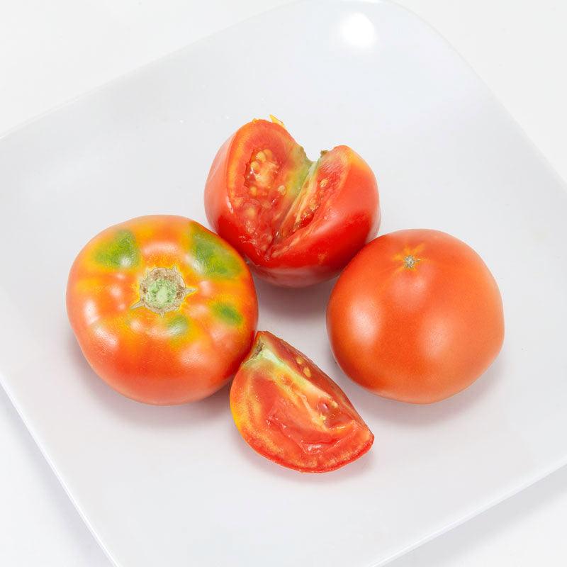 Organic Tomato, Big Rainbow (1 oz)