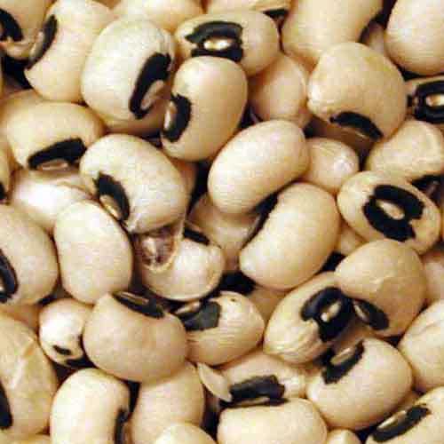Black Eye Peas - Raw Seed (lb)