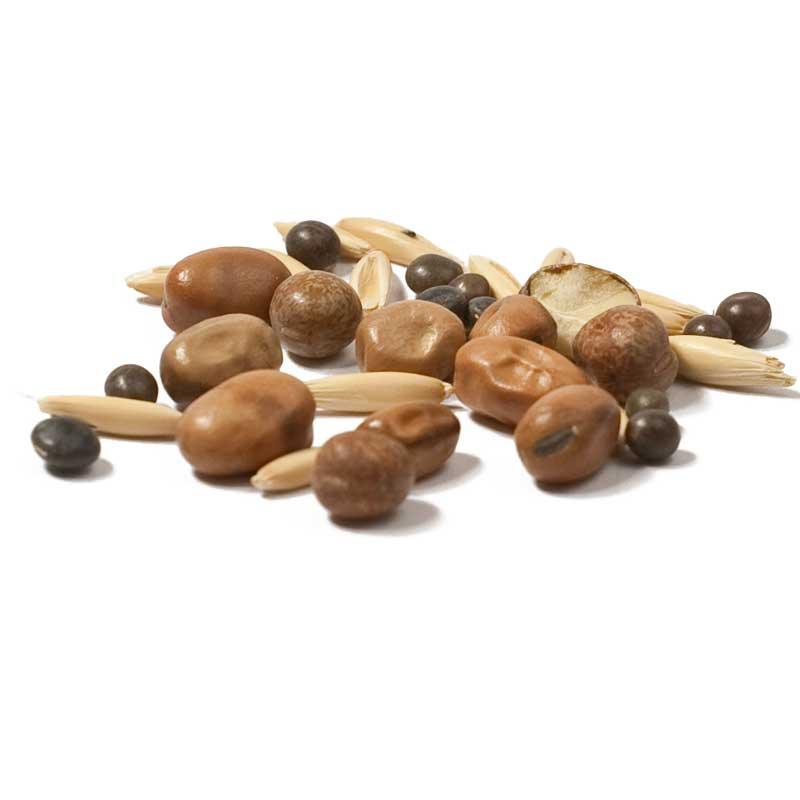 Peaceful Valley Premium Soil Builder Mix - Raw Seed (lb)